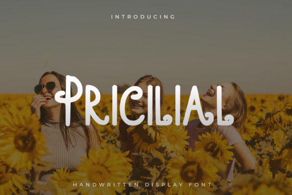 Pricilial Font: A Quirky Display Typeface for Digital Designers