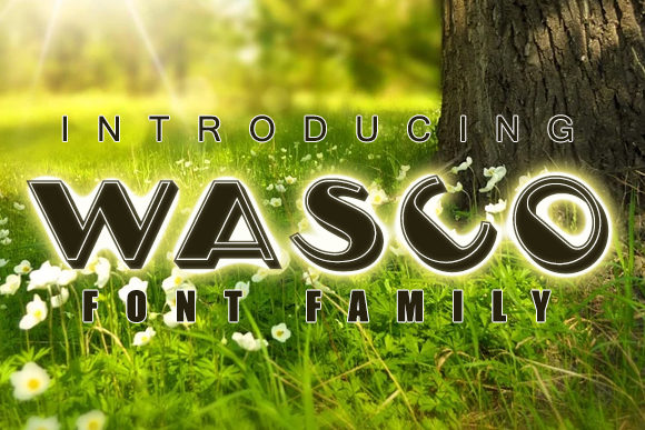 Wasco Font: A Playful Display Typeface for Digital Designers
